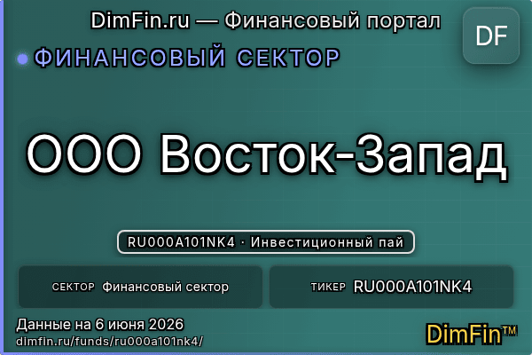 RU000A101NK4